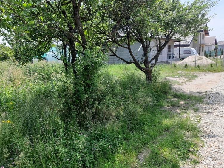 Teren de 500 mp, în Vedea