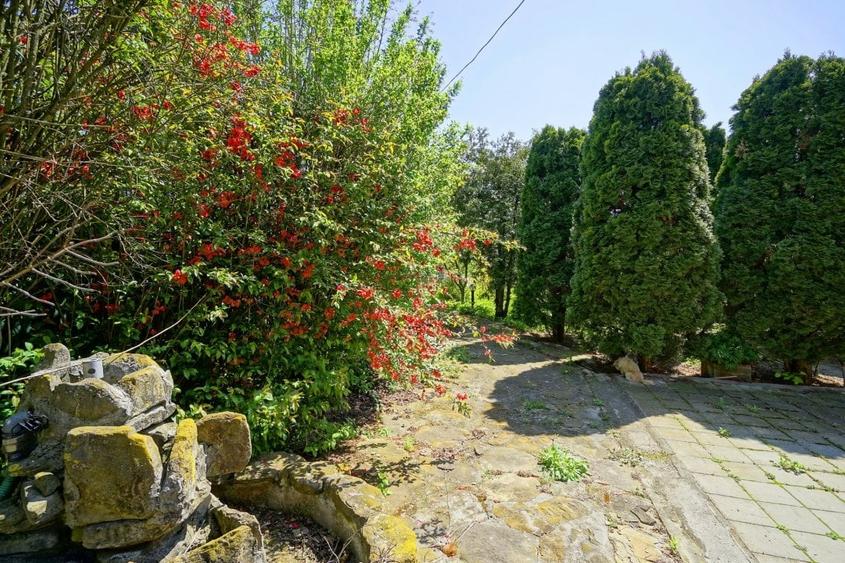 Casă individuală cu 22 camere cu Piscina în Bălteni