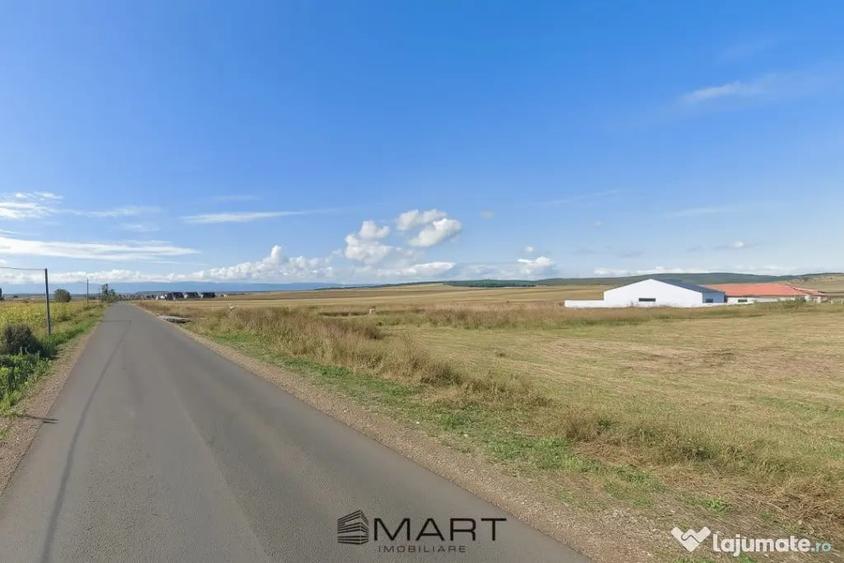Teren în Șura Mică
