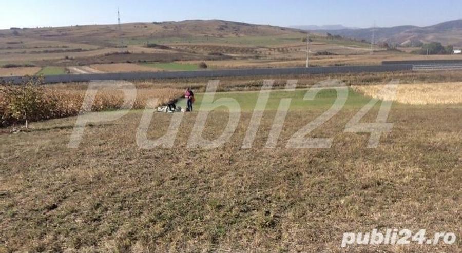 Teren de 5500 mp, în Stejeriș
