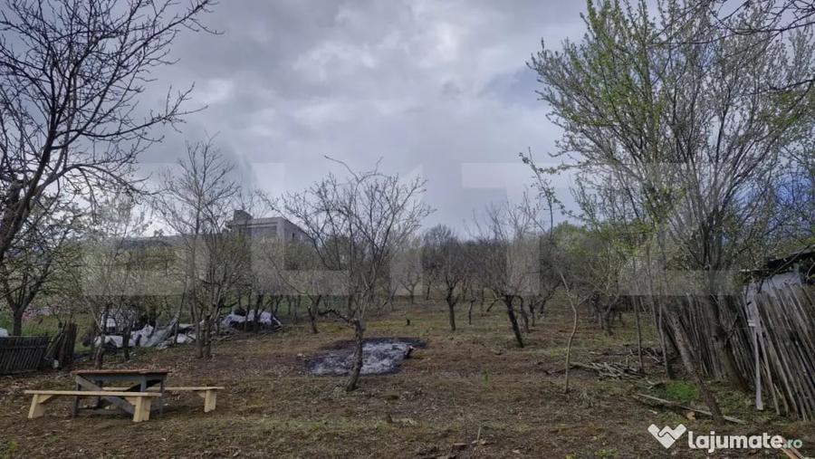 Teren de 2500 mp, în Viișoara