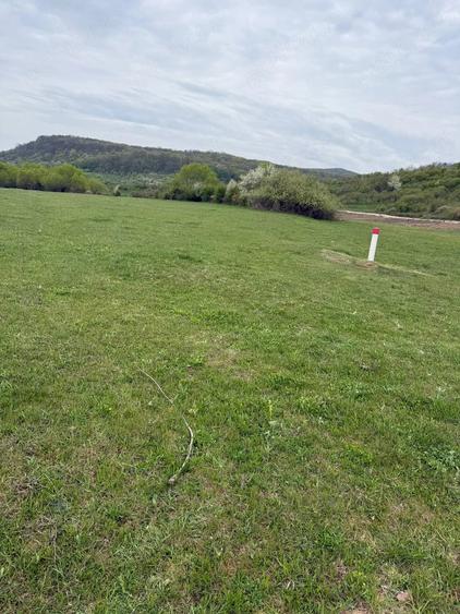 Teren de 5000 mp, în Fughiu