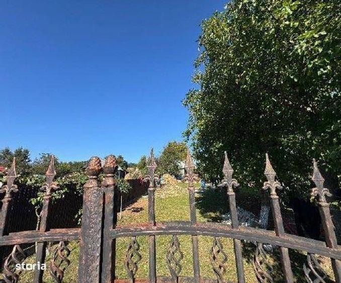 Casă cu 3 camere cu Teren 2000 Mp în Bârgăuani