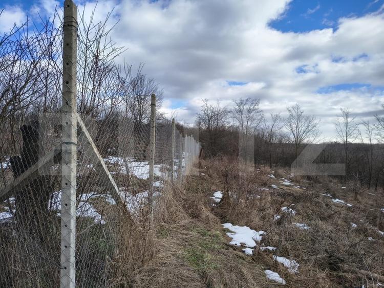 Teren Construcții intravilan de 10000 mp, în Păulești
