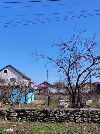 Teren de 1000 mp, în Limanu