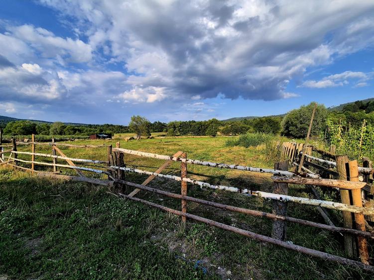 Teren agricol extravilan de 3021 mp, în Șinca Nouă