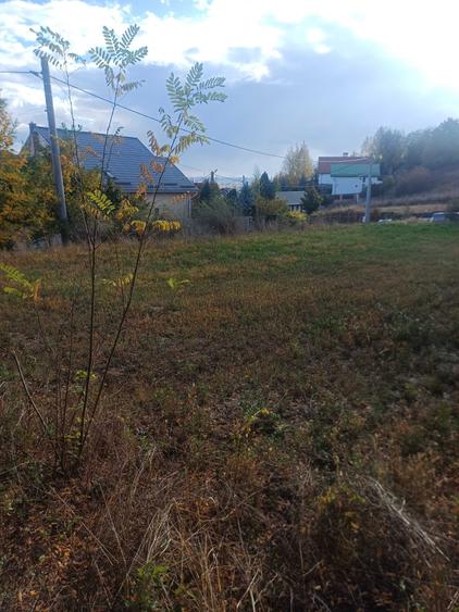 Spațiu comercial, în Sântana de Mureș