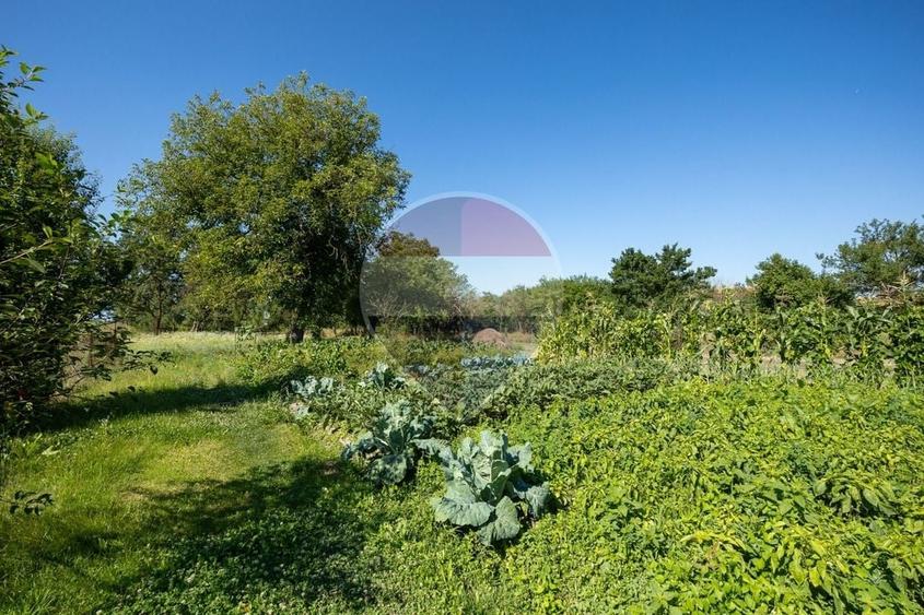 Casă individuală cu 4 camere cu Teren 1346 Mp în Comana de Jos