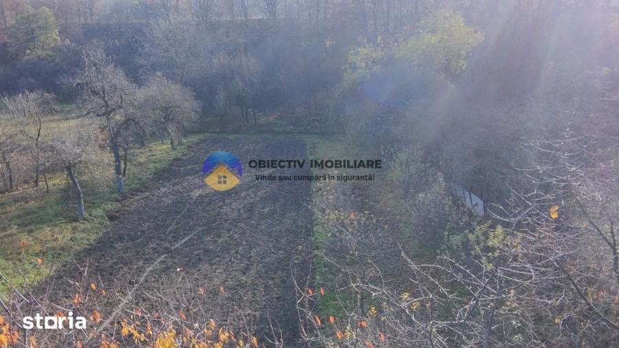 Casă cu 3 camere cu Teren 5062 Mp în Nord