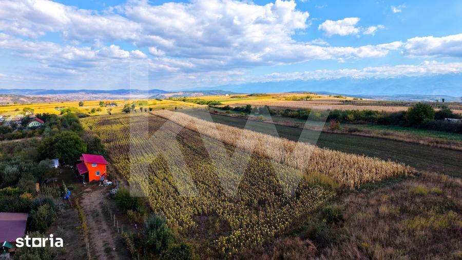 Teren de 5000 mp, în Câineni