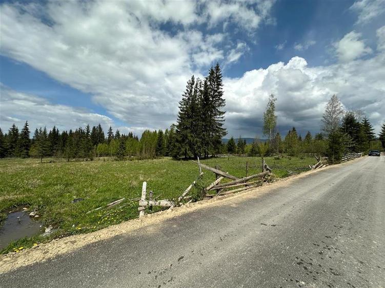 Teren Construcții intravilan de 6000 mp, în Șaru Dornei