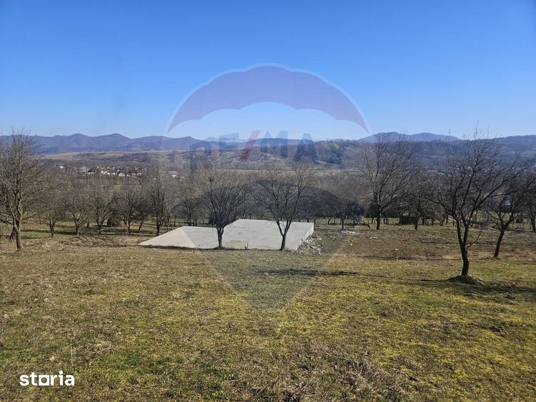 Teren de 4627 mp, în Bârsana