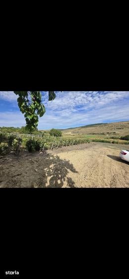 Teren de 9300 mp, în Aroneanu