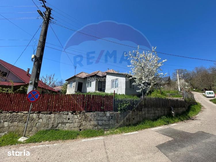 Casa bunicilor, cu gradina, Lera, Buzau!