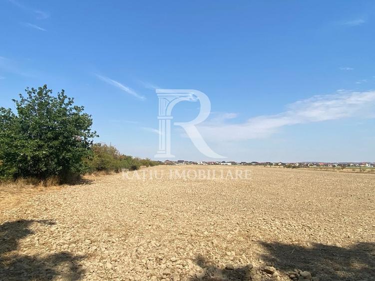 Teren agricol extravilan de 2000 mp, în Exterior Sud