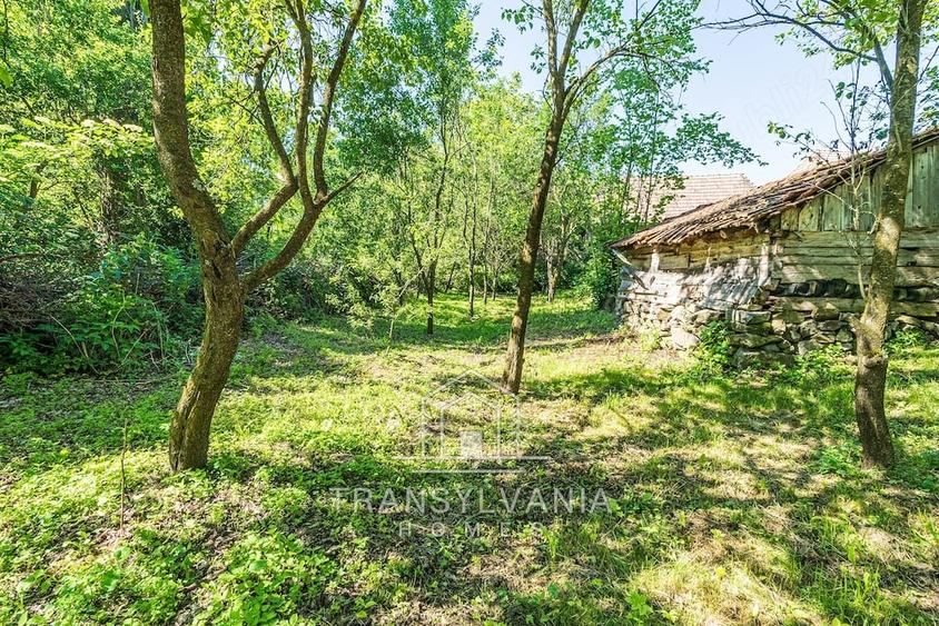 Casă cu Teren 1368 Mp în Livada (Petreștii de Jos)