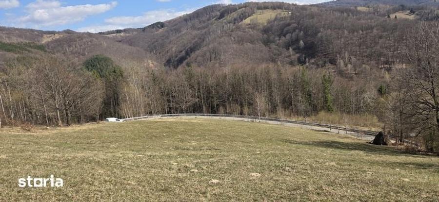Teren de 4000 mp, în Bulz