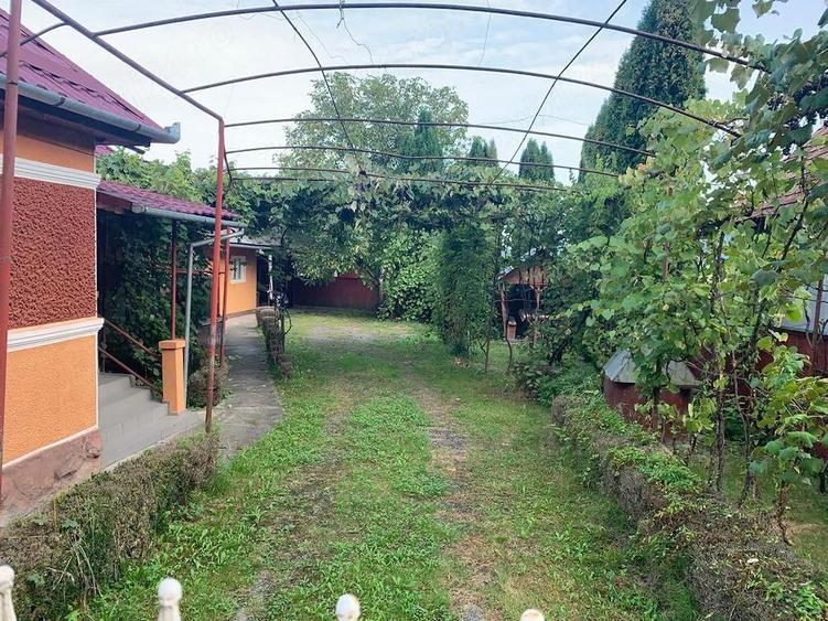 Casa spa?ioasa cu 35 ari teren Solovastru (ie?ire spre Reghin Baile Sarate de la Jabeni?a) - 7