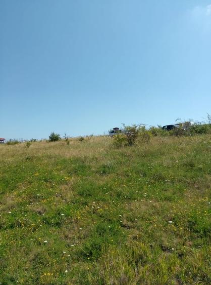 Teren agricol intravilan de 450 mp, în Chinteni