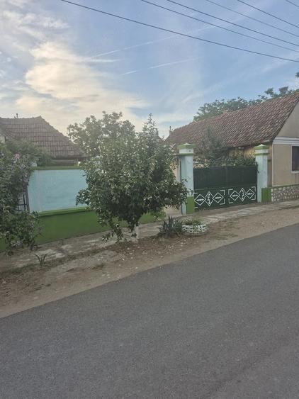 Casă cu 4 camere cu Teren 2440 Mp în Covăsinț