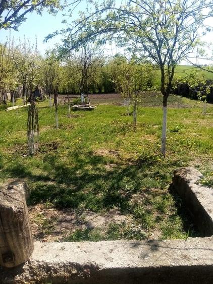 Teren de 700 mp, în Băcălești
