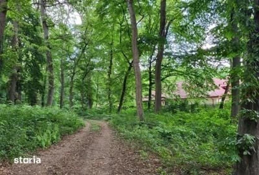 Teren de 7000 mp, în Snagov