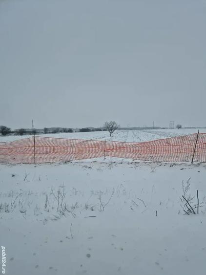 Teren de 2300 mp, în Dărăști-Ilfov