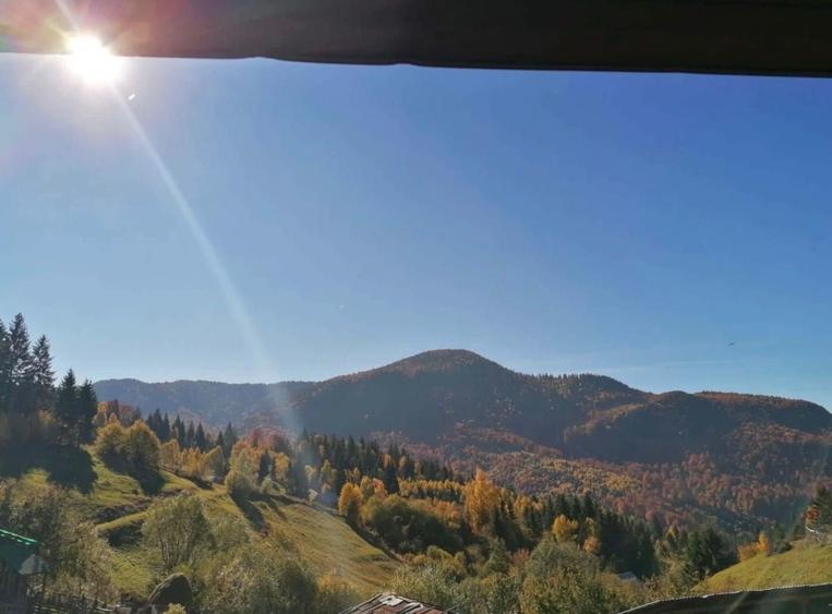 Casă cu 3 camere în Podu Dâmboviței