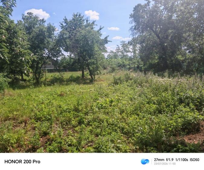 Casă individuală cu 2 camere cu Teren 1000 Mp în Băhnișoara