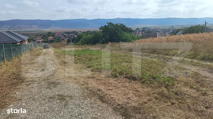 Spațiu comercial, în Central