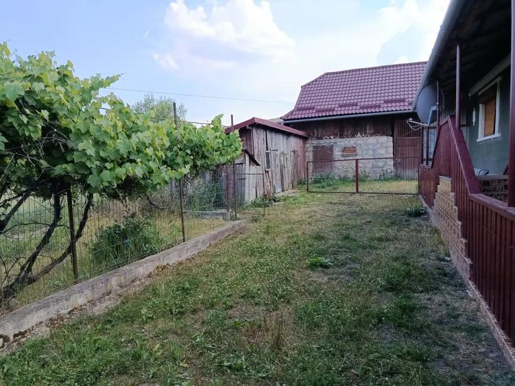 Casă cu 3 camere în Central