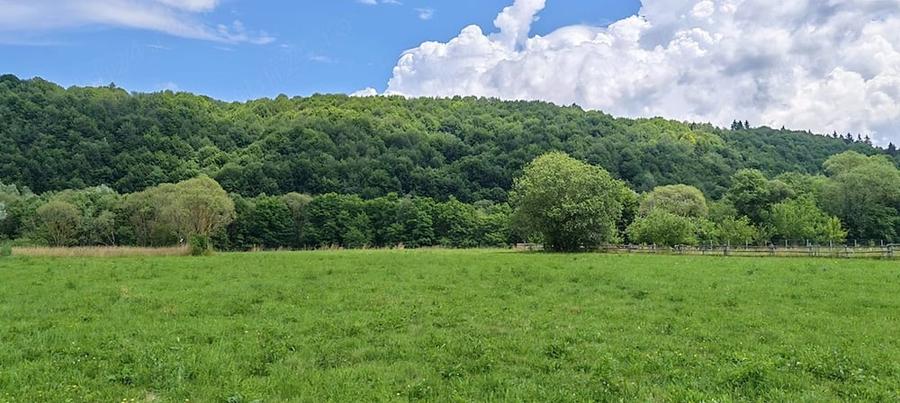 Teren de 4950 mp, în Vama Buzăului