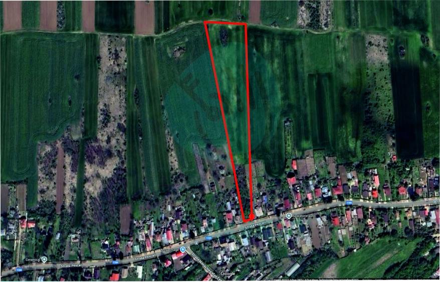 Teren Construcții intravilan de 16534 mp, în Siliștea Snagovului