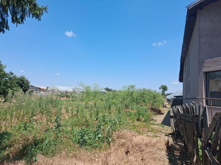 Teren Construcții intravilan de 3524 mp, în Sintești