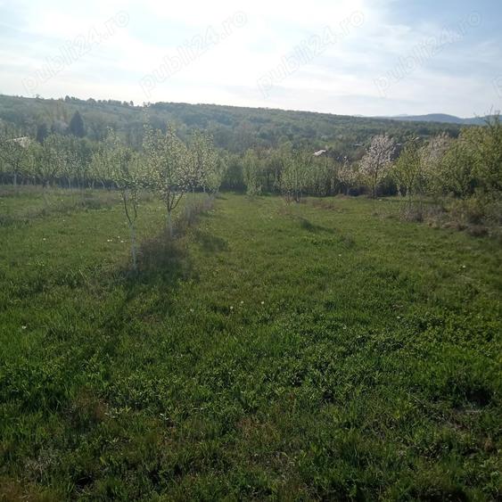 Teren de 7700 mp, în Dumbrăveni