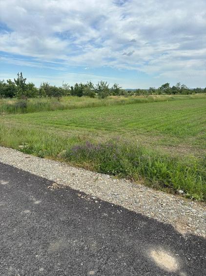 Teren de 5500 mp, în Buduhala
