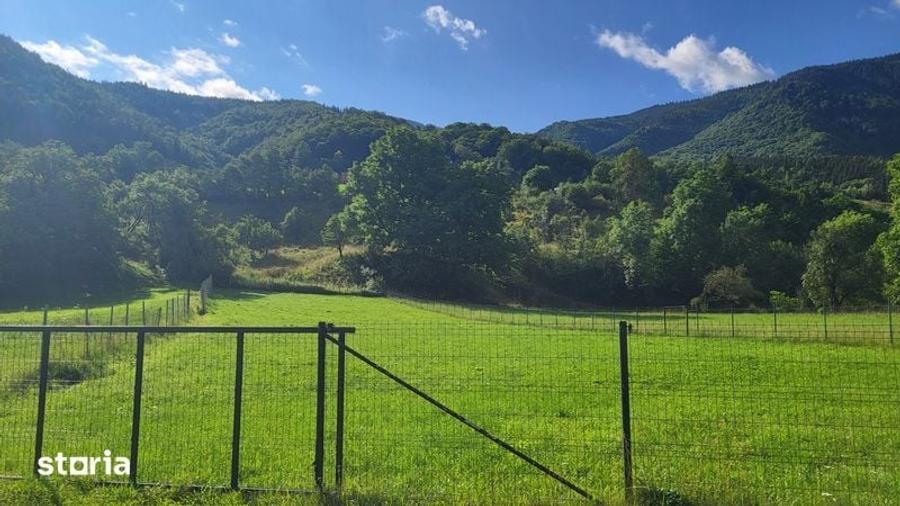 Teren de 1600 mp, în Râu Sadului