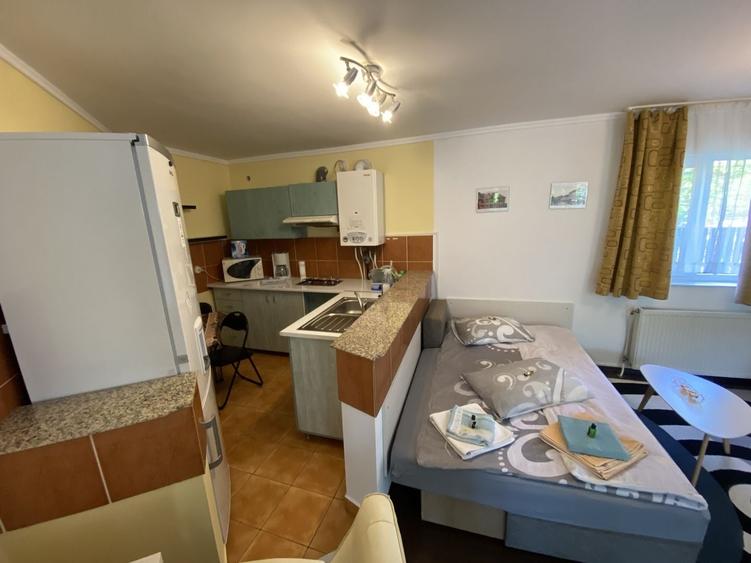 Apartament cu 2 camere/ finisat modern/  Mănăștur/ 65 mp/ - 10