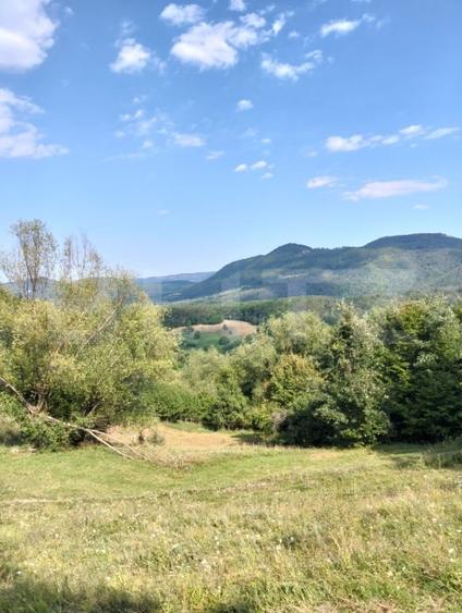 Teren Construcții intravilan de 70290 mp, în Poiana Ampoiului