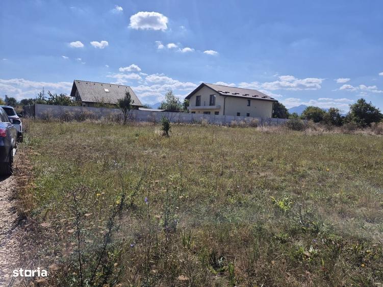 Teren intravilan- 1000mp- Harman-Brasov - 5