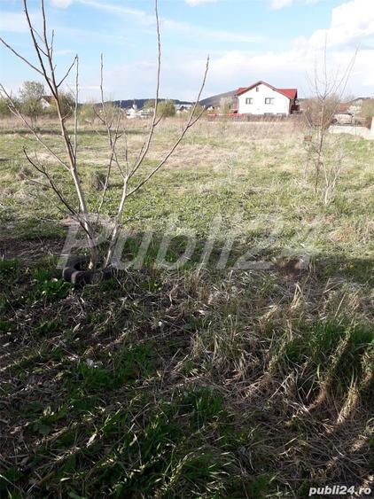 Teren în Sânpetru