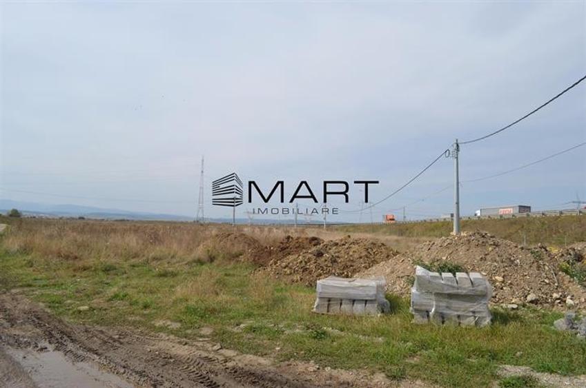 Teren de 6500 mp, în Veterani