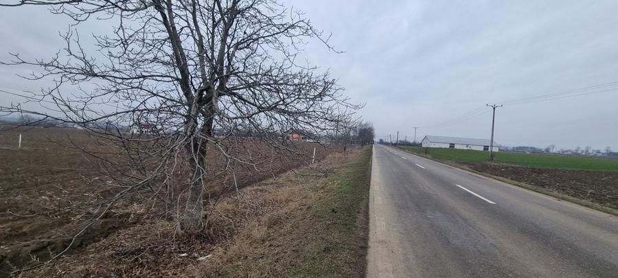Teren Construcții intravilan de 2.3099999427795 mp, în Bucecea