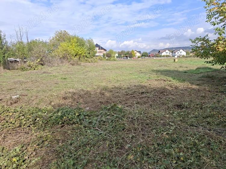 Teren de 2988 mp, în Ostroveni