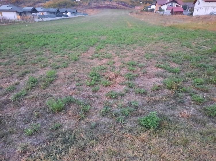 Teren Construcții intravilan de 3971 mp, în Micești