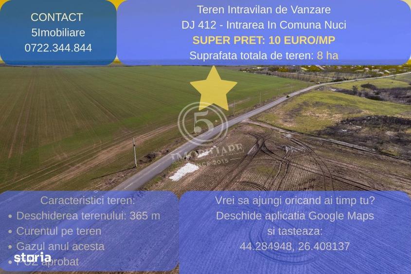 Oportunitate Investitionala: Teren 8 Ha Nuci, Calarasi - 3