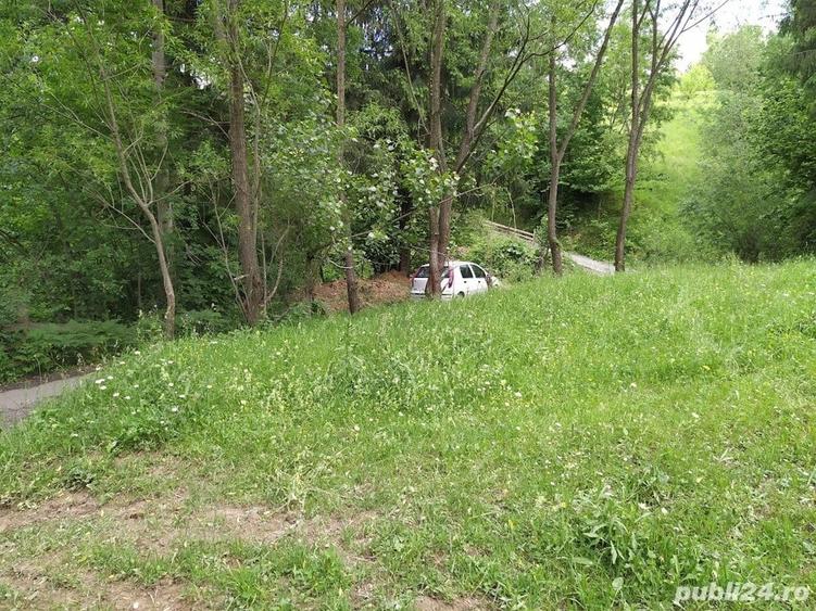 Teren de 9042 mp, în Moisei