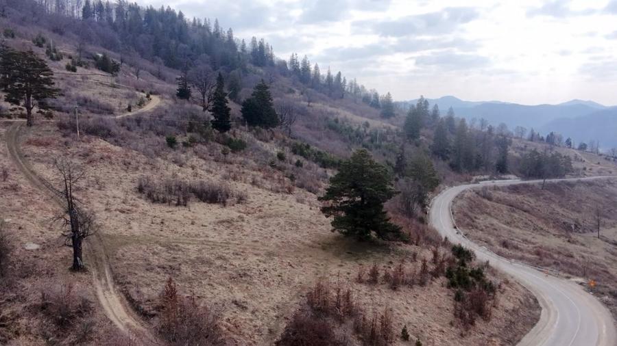 Teren Construcții intravilan de 1751 mp, în Scăricica
