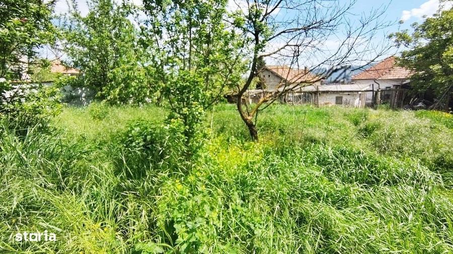 Teren intravilan de 2108 mp, cu casa, zona excelenta, Dambul Rotund - 3