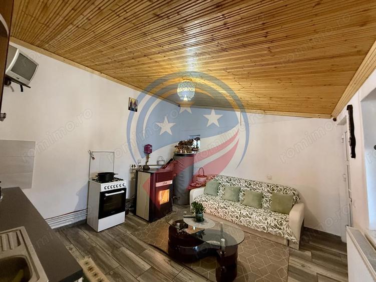 Casa cu teren generos/de vanzare/com Leu, Dolj - 10
